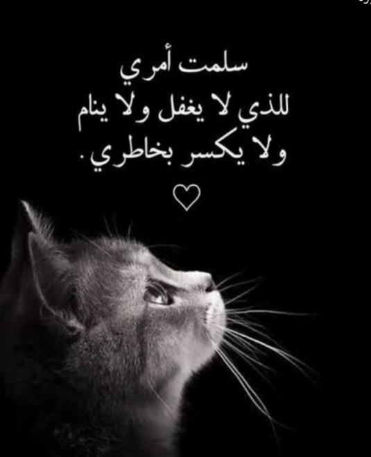 ���� ���_RVtMv