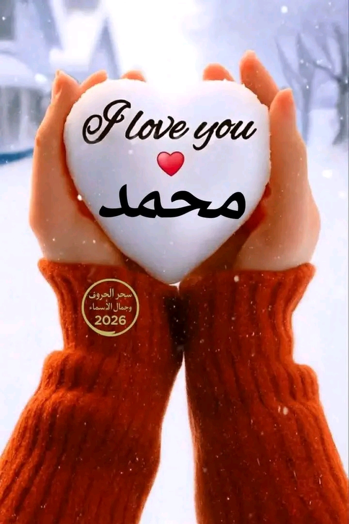 ���� ����_Eg29L